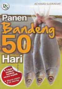 PANEN BANDENG 50 HARI