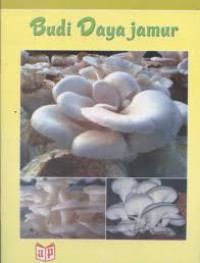 Image of BUDI DAYA JAMUR